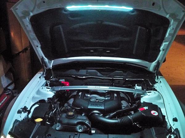 What did you do with your Mustang today?*-100_5387.jpg