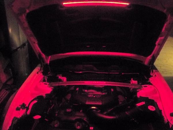 What did you do with your Mustang today?*-100_5388.jpg