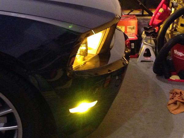 What did you do with your Mustang today?*-image-344487818.jpg