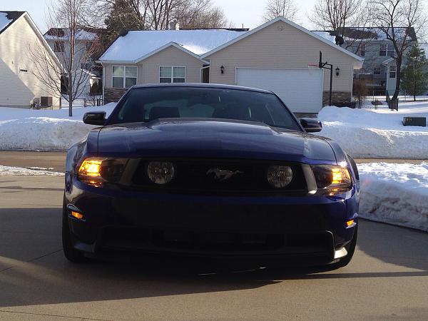 What did you do with your Mustang today?*-image-3272856861.jpg