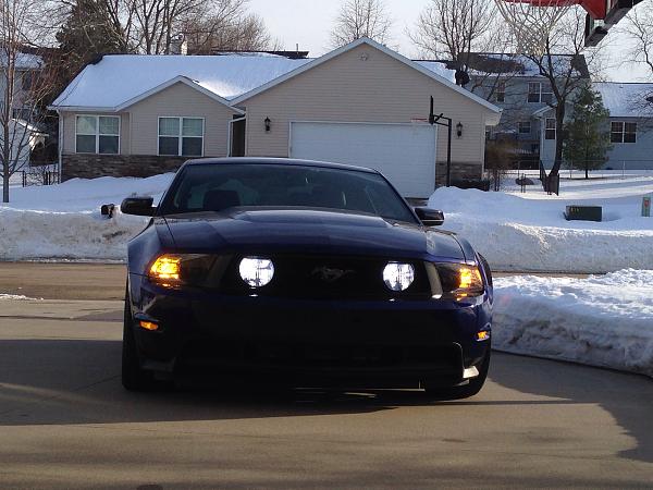 What did you do with your Mustang today?*-image-4184746925.jpg