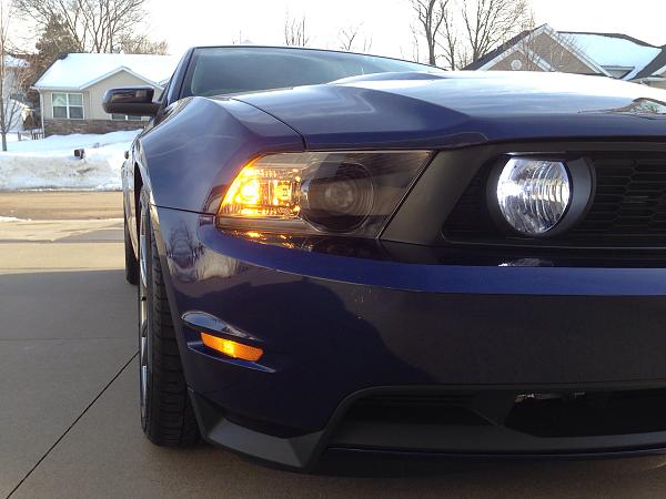 What did you do with your Mustang today?*-image-1151917568.jpg