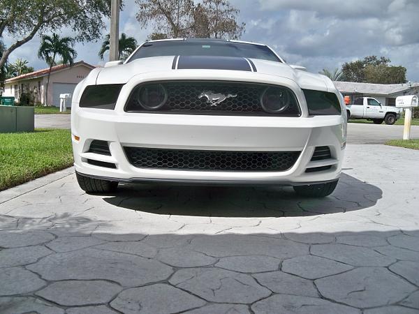 What did you do with your Mustang today?*-100_5396.jpg