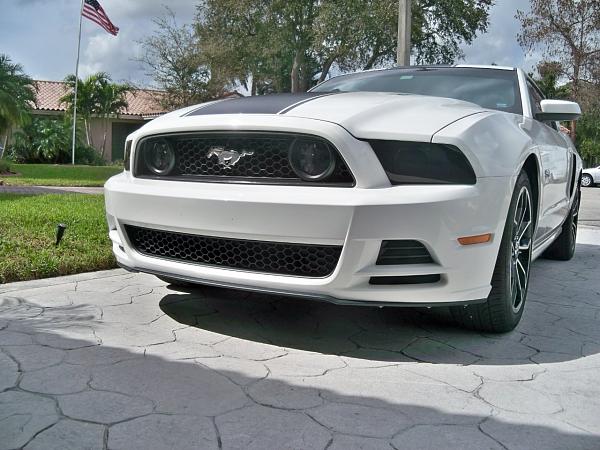 What did you do with your Mustang today?*-100_5397.jpg