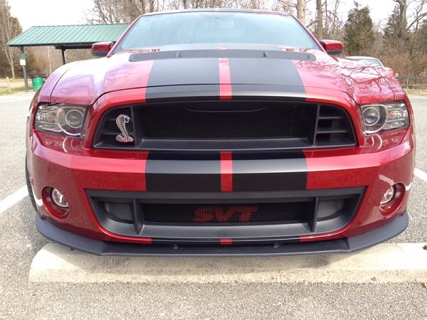 What did you do with your Mustang today?*-image-349169182.jpg