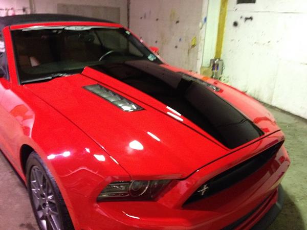 What did you do with your Mustang today?*-1779106_837507372932535_1574252776_n.jpg