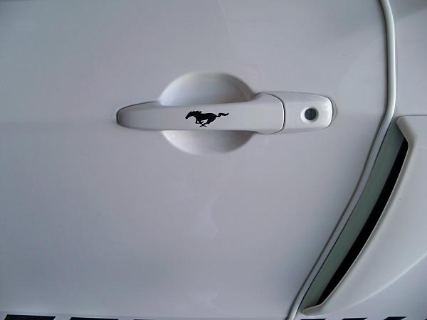 What did you do with your Mustang today?*-100_5423.jpg