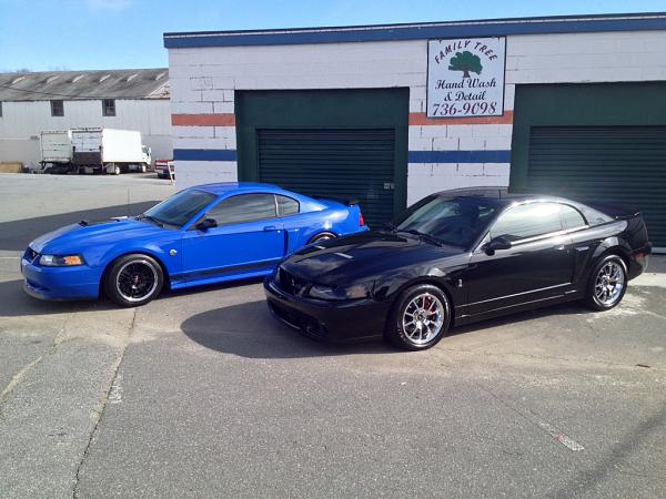 What did you do with your Mustang today?*-image-2307594900.jpg