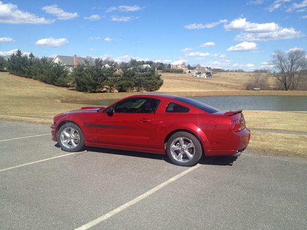 What did you do with your Mustang today?*-image-2735933423.jpg