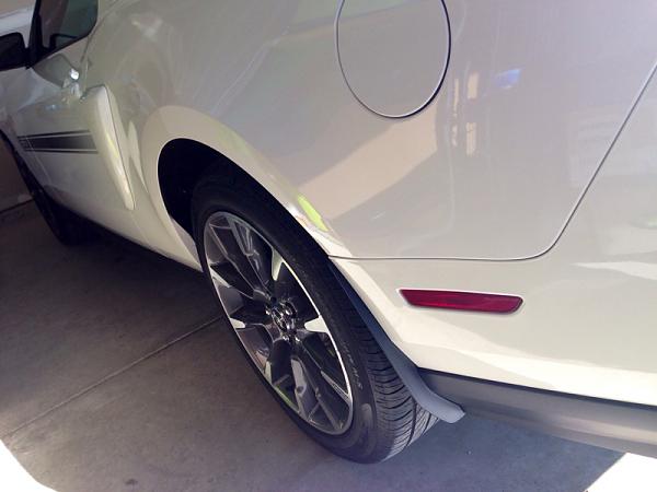 What did you do with your Mustang today?*-image-3608950274.jpg