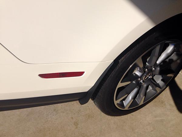 What did you do with your Mustang today?*-image-1611400743.jpg