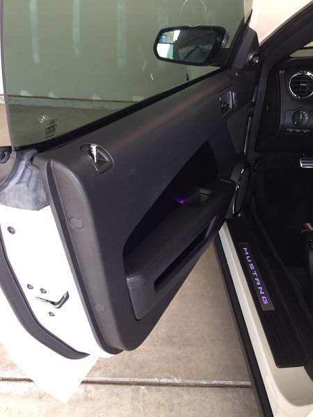 What did you do with your Mustang today?*-image-3845263875.jpg