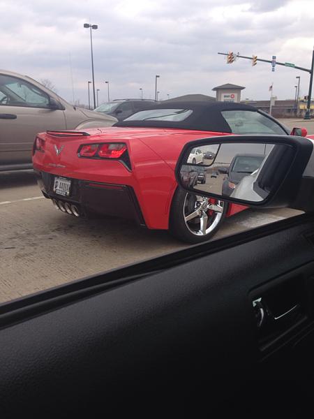 What did you do with your Mustang today?*-image-1248098954.jpg