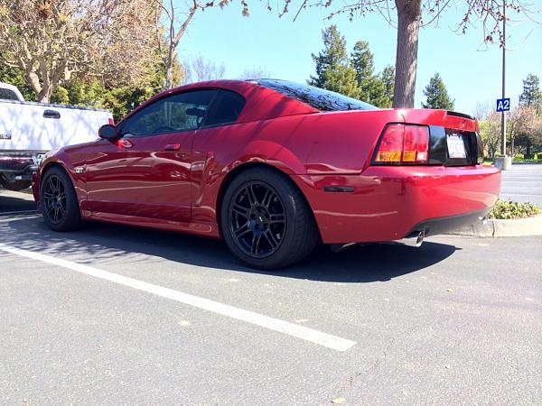 What did you do with your Mustang today?*-image-3255023249.jpg