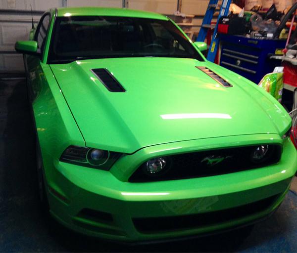 What did you do with your Mustang today?*-image-3235753952.jpg