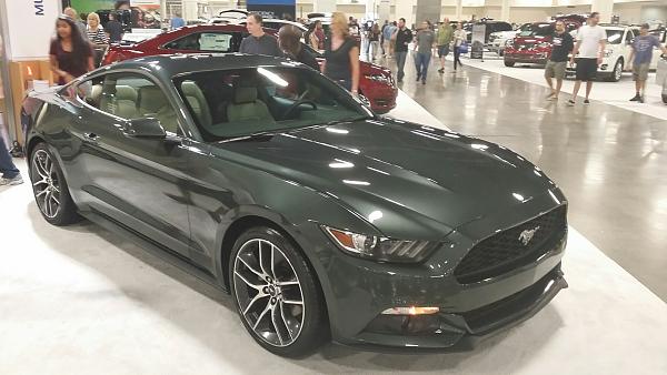 What did you do with your Mustang today?*-152.jpg