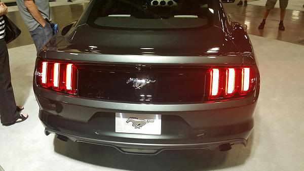 What did you do with your Mustang today?*-151.jpg