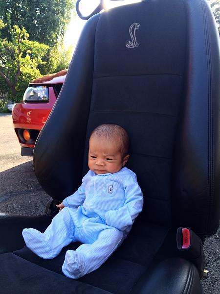 What did you do with your Mustang today?*-image-89830719.jpg