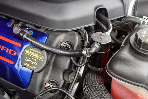 What did you do with your Mustang today?*-dsc_0203.jpg