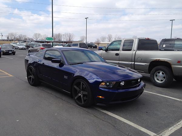 What did you do with your Mustang today?*-image-1424731464.jpg