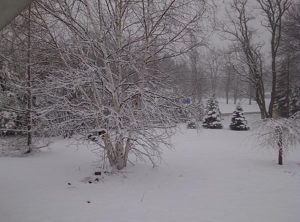 What did you do with your Mustang today?*-milo-20140330-00014.jpg