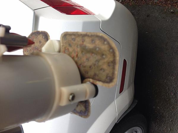 What did you do with your Mustang today?*-image.jpg