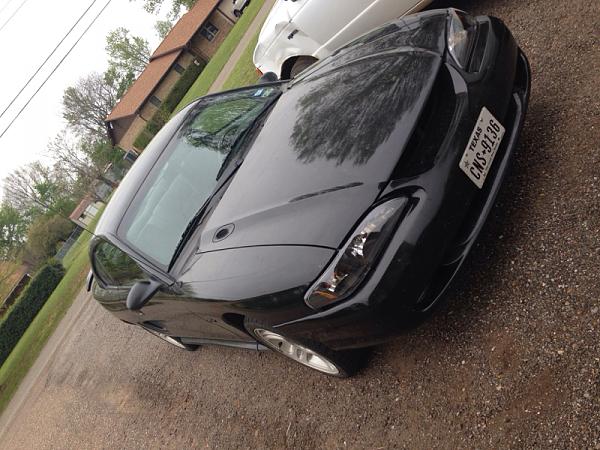 What did you do with your Mustang today?*-image-687516342.jpg