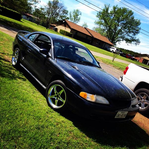 What did you do with your Mustang today?*-image-2155333530.jpg