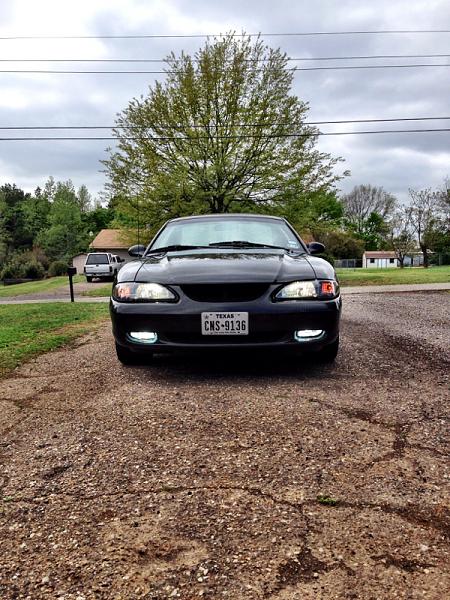 What did you do with your Mustang today?*-image-1037405040.jpg