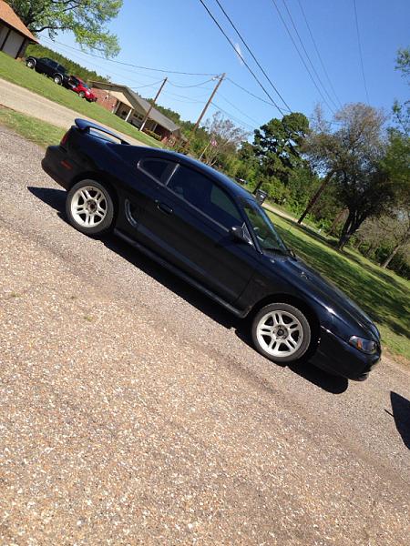 What did you do with your Mustang today?*-image-3132297080.jpg