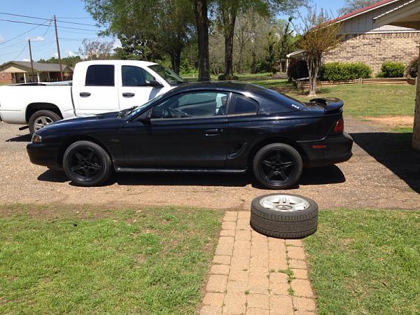 What did you do with your Mustang today?*-image-3857371405.jpg