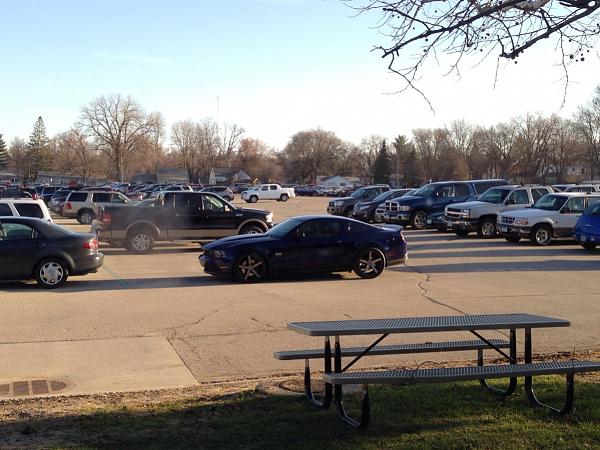 What did you do with your Mustang today?*-image-1745482593.jpg