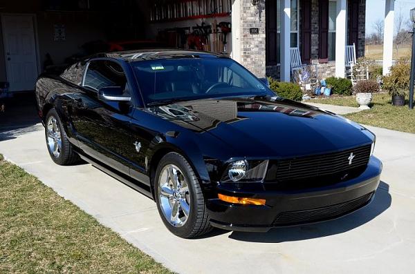 Ford Racing P Springs, anyone here have these?-black-gt.jpg