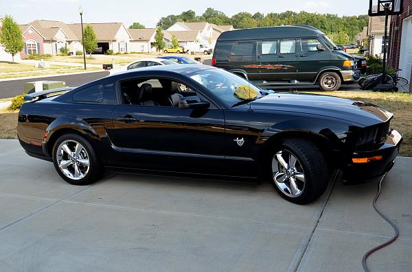 Ford Racing P Springs, anyone here have these?-dsc_0423.jpg