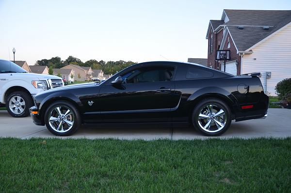 Ford Racing P Springs, anyone here have these?-dsc_0022.jpg