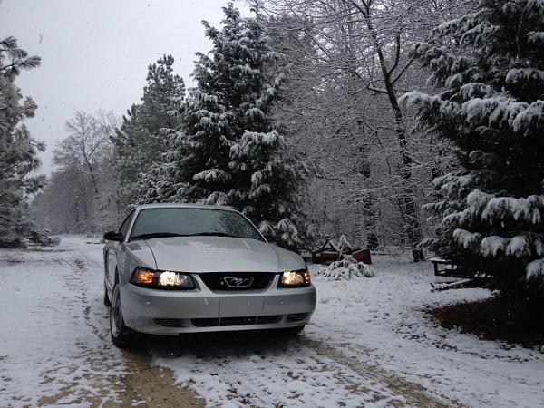 Found some pics of my totaled mustang.-image-2633733359.jpg