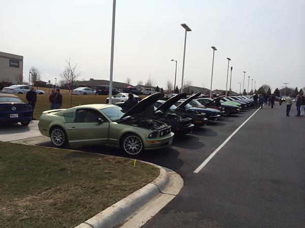 What did you do with your Mustang today?*-image-821988124.jpg