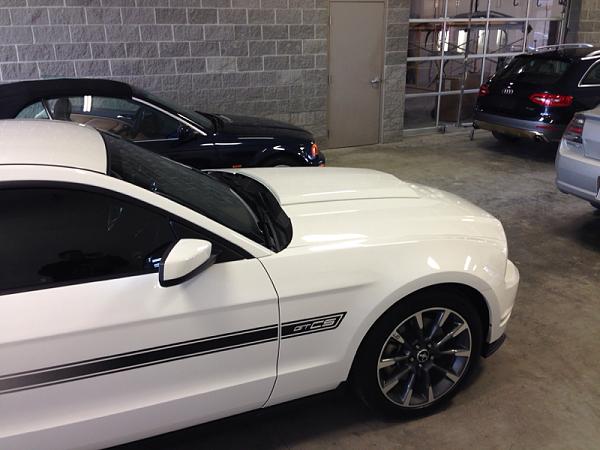 What did you do with your Mustang today?*-image-4187478773.jpg