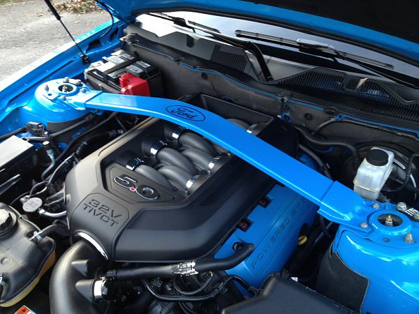 What did you do with your Mustang today?*-image-1628338174.jpg