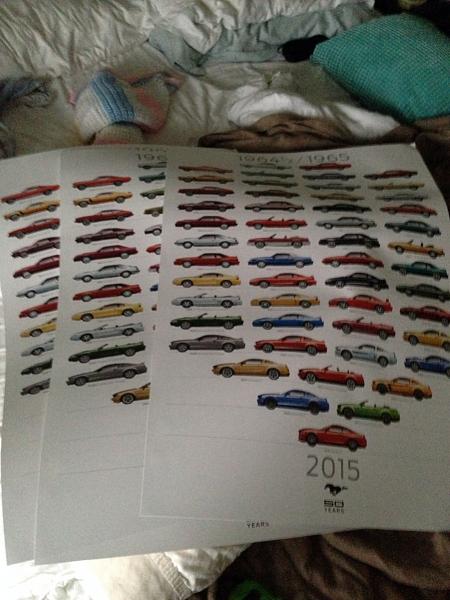 What did you do with your Mustang today?*-image-4070445301.jpg