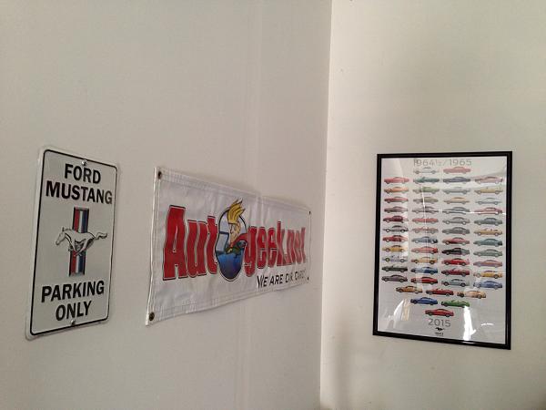 What did you do with your Mustang today?*-image-3634730039.jpg