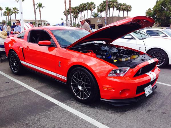 What did you do with your Mustang today?*-image-3261085507.jpg