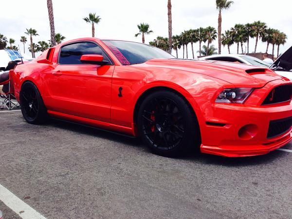 What did you do with your Mustang today?*-image-4013057723.jpg