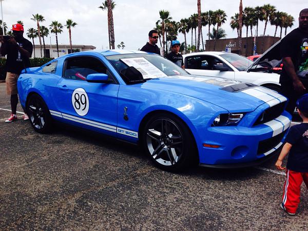 What did you do with your Mustang today?*-image-91741623.jpg