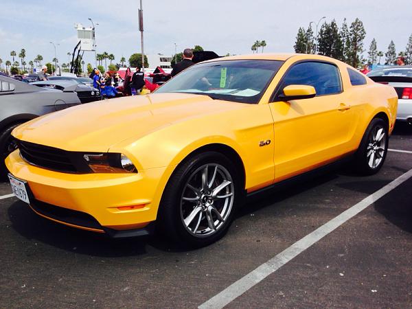 What did you do with your Mustang today?*-image-3855365903.jpg