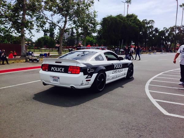 What did you do with your Mustang today?*-image-2939324194.jpg