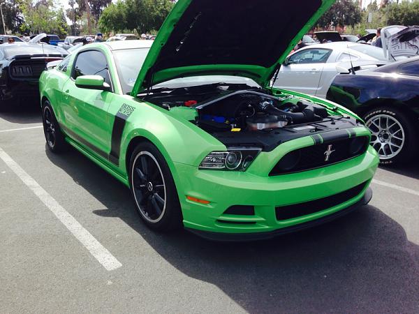 What did you do with your Mustang today?*-image-2927395551.jpg