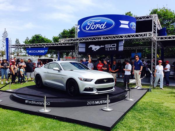 What did you do with your Mustang today?*-image-3024004544.jpg