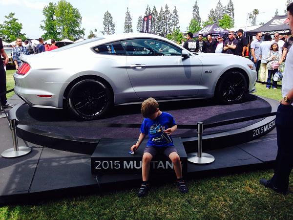 What did you do with your Mustang today?*-image-3251084187.jpg