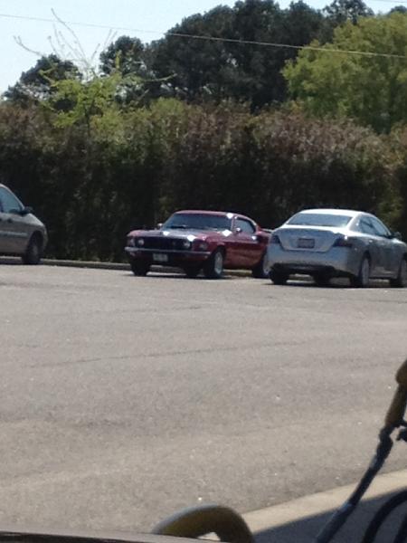 What did you do with your Mustang today?*-image-2049040944.jpg